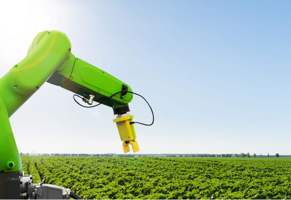 A robot for food: Artificial Intelligence